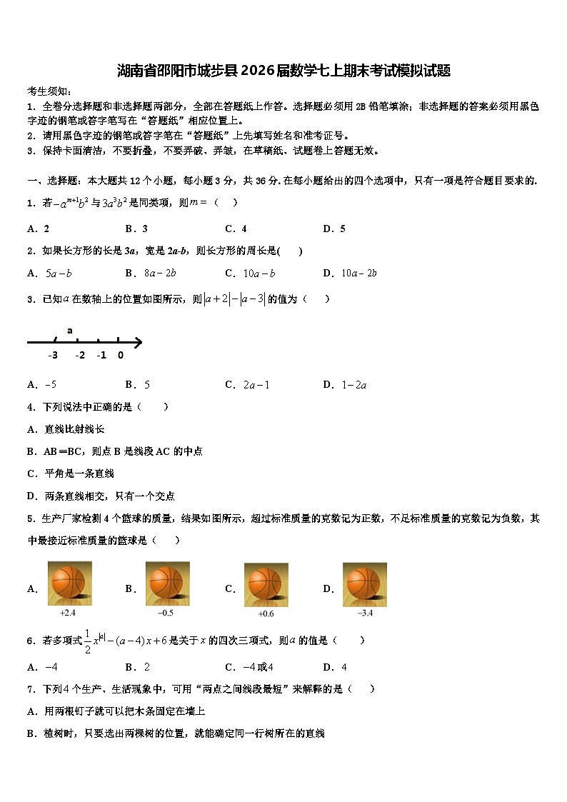 湖南省邵阳市城步县2026届数学七上期末考试模拟试题含解析第1页