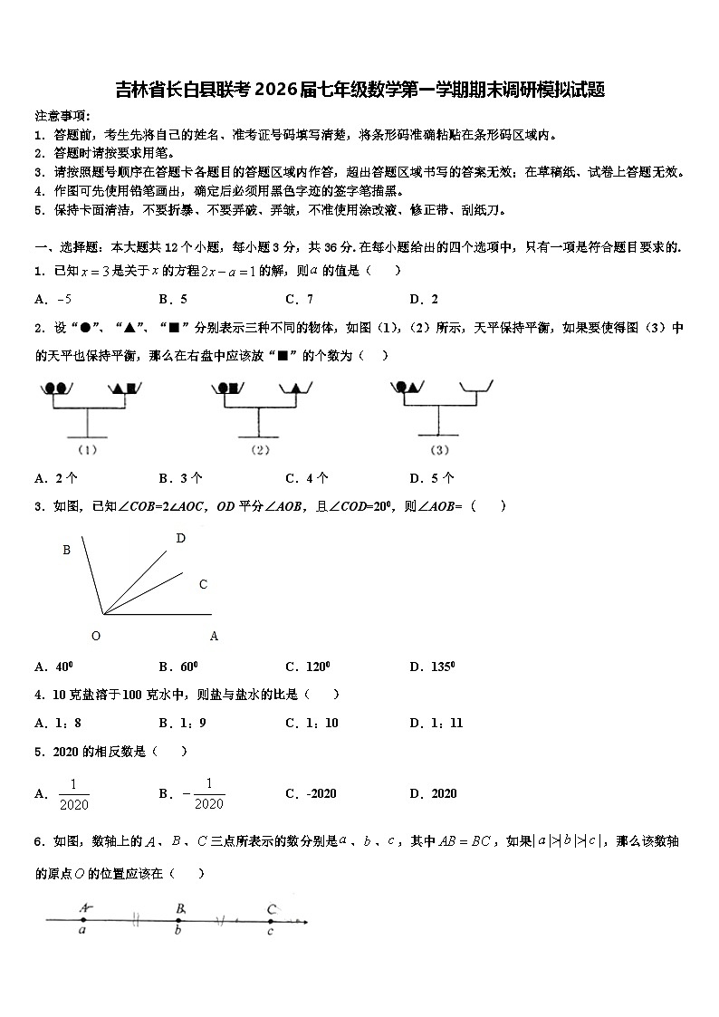 吉林省长白县联考2026届七年级数学第一学期期末调研模拟试题含解析第1页