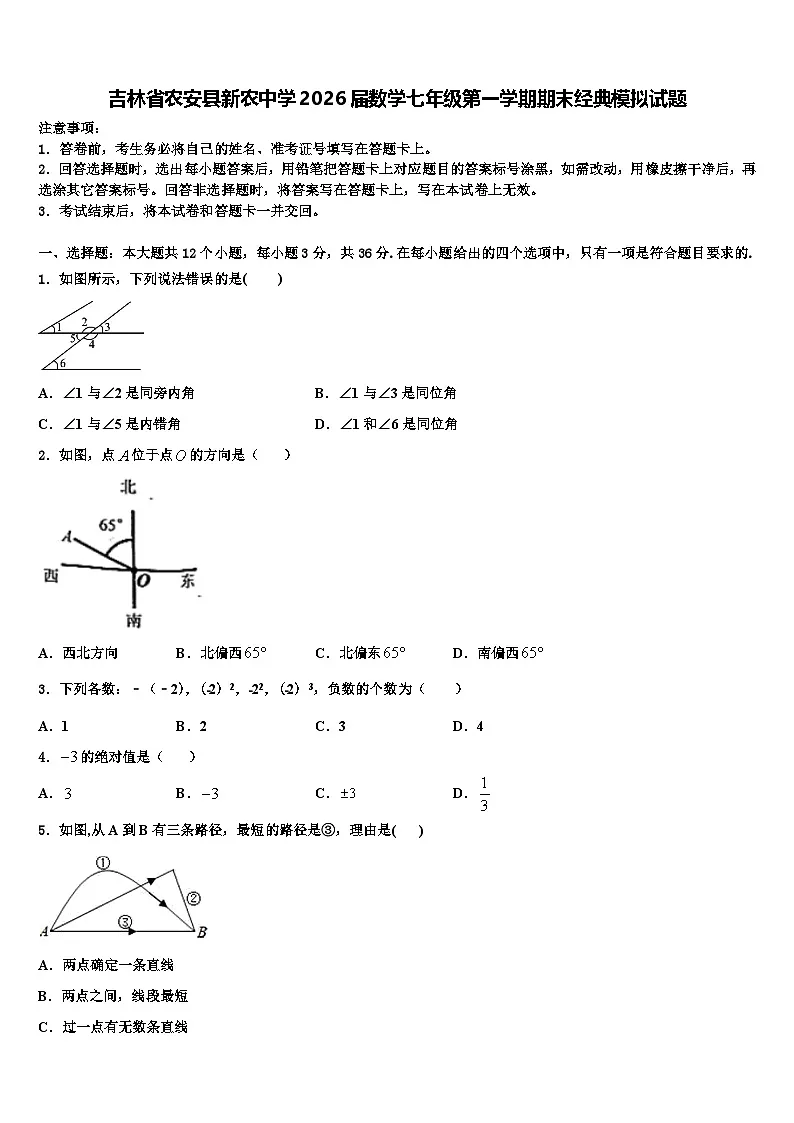 吉林省农安县新农中学2026届数学七年级第一学期期末经典模拟试题含解析第1页