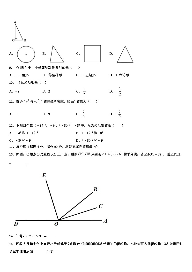 吉林省白城市洮北区三合乡中学2026届七年级数学第一学期期末经典模拟试题含解析第2页