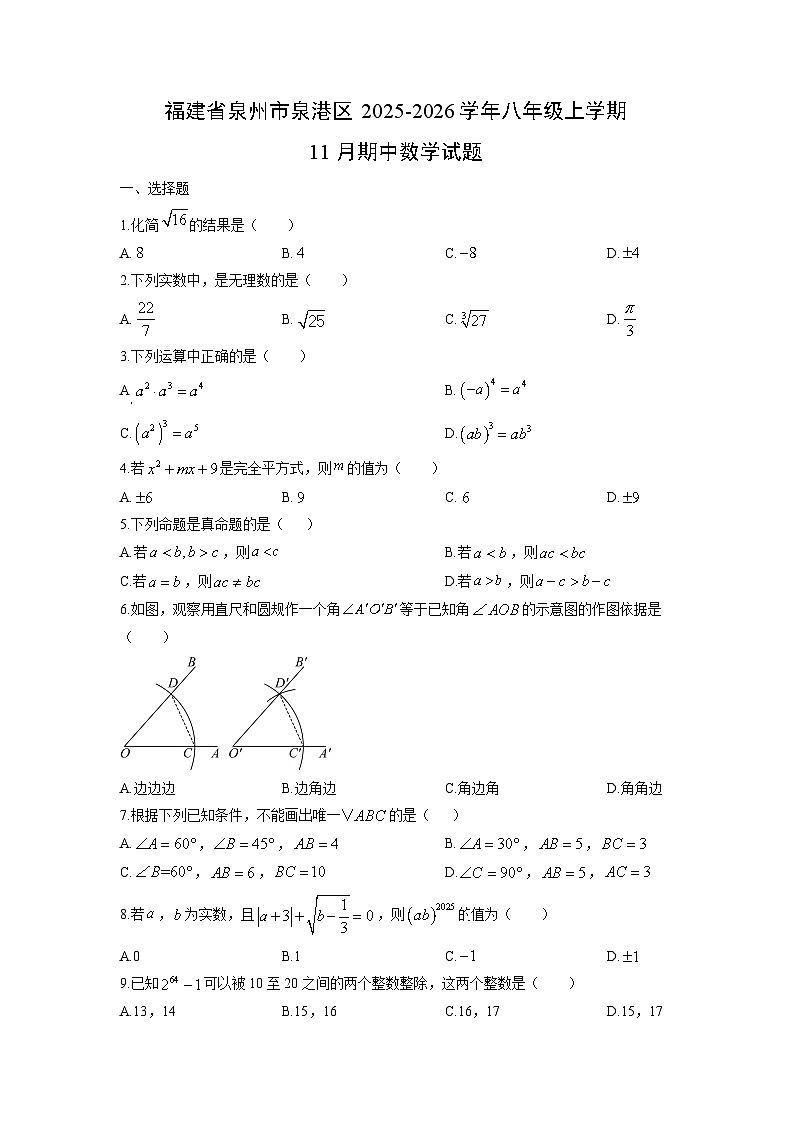 福建省泉州市泉港区2025-2026学年八年级上学期11月期中数学试卷（学生版）第1页