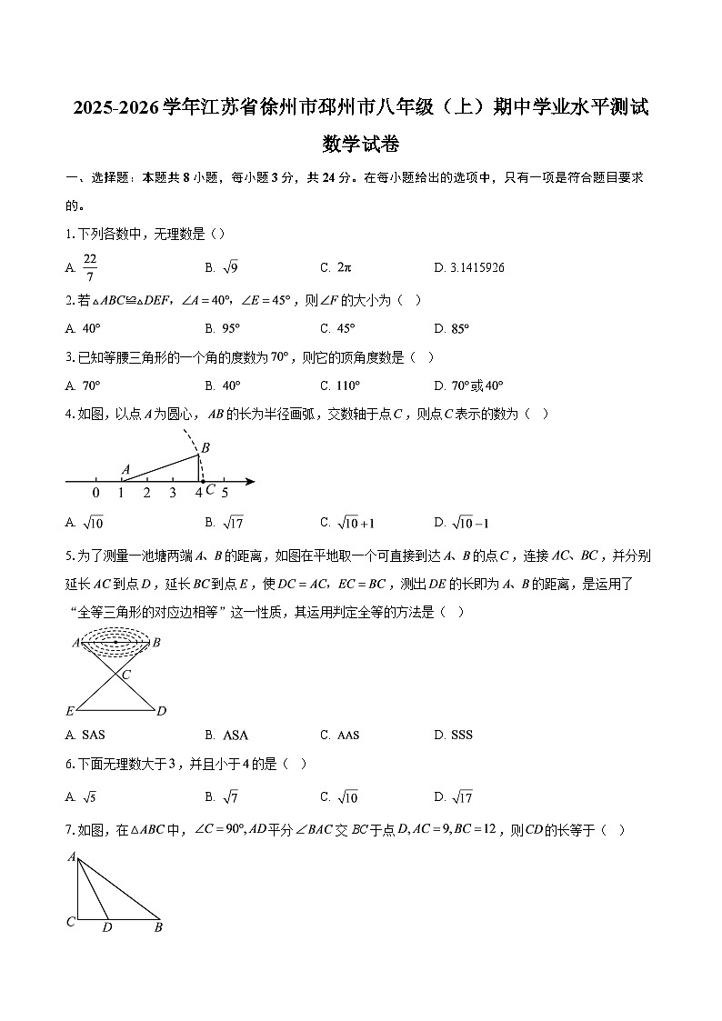 2025-2026学年江苏省徐州市邳州市八年级（上）期中学业水平测试数学试卷-自定义类型第1页
