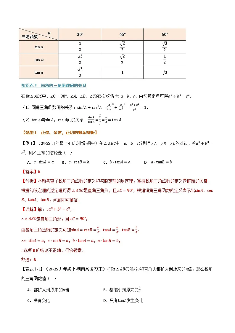 专题7.1 锐角三角函数（举一反三讲义）数学苏科版九年级下册（解析版）第2页