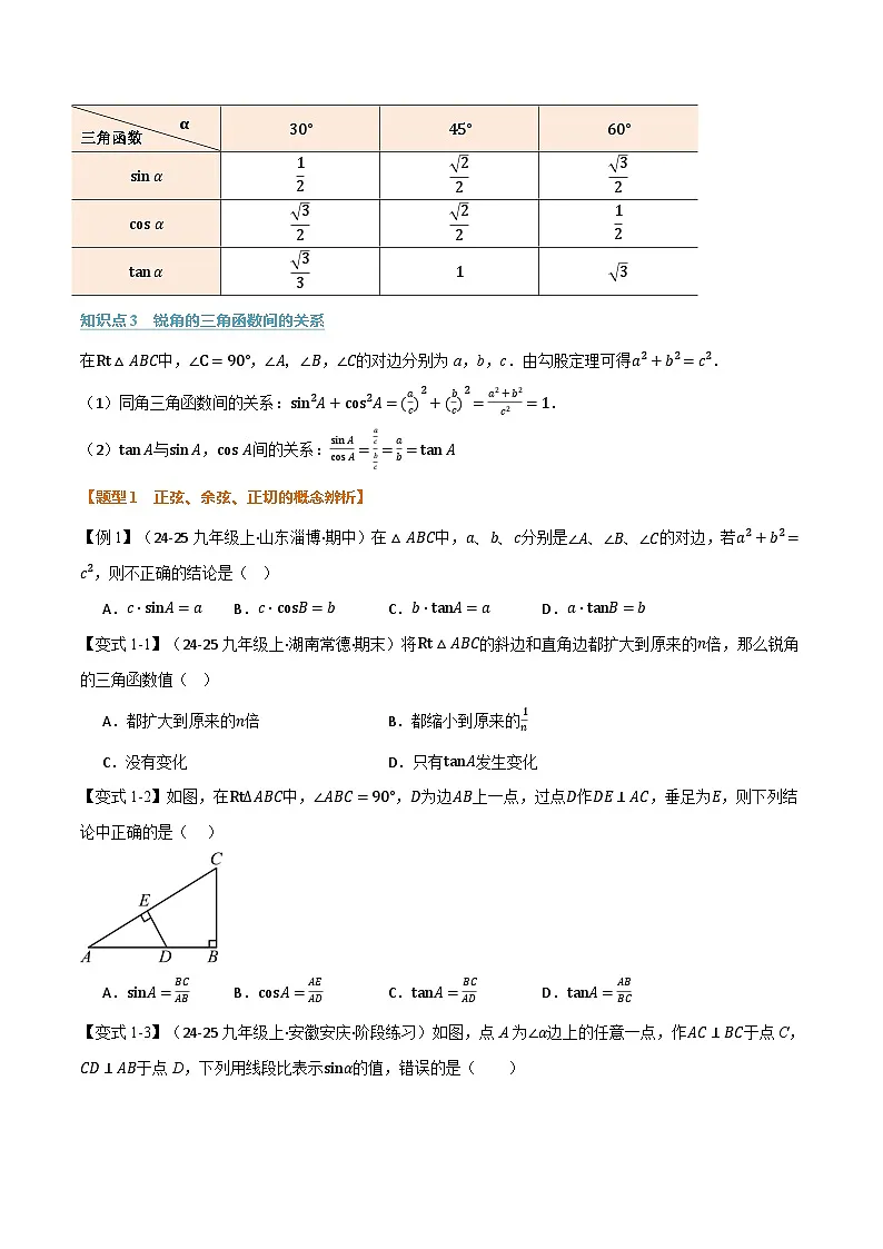 专题7.1 锐角三角函数（举一反三讲义）数学苏科版九年级下册（原卷版）第2页