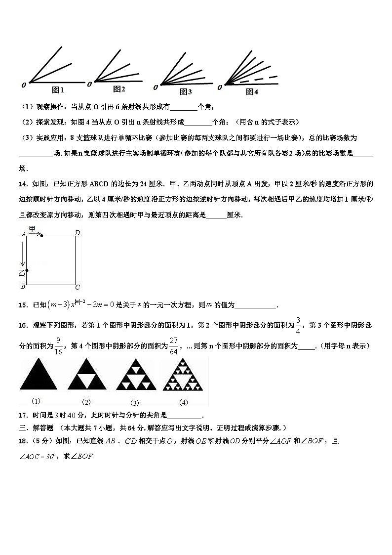 吉林省长春市榆树市第二实验中学2026届数学七上期末联考试题含解析第3页