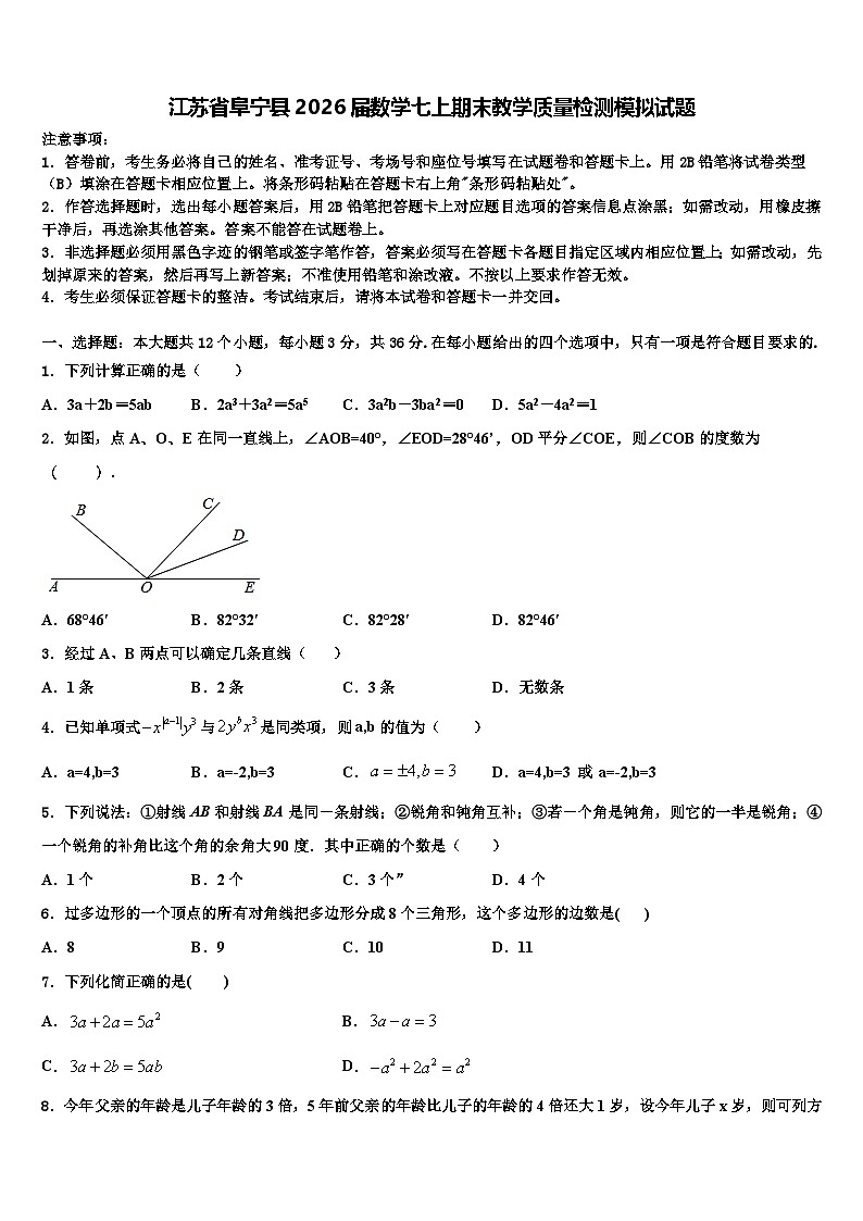 江苏省阜宁县2026届数学七上期末教学质量检测模拟试题含解析第1页
