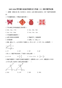 2025-2026学年浙江省金华东阳市八年级（上）期中数学试卷-自定义类型