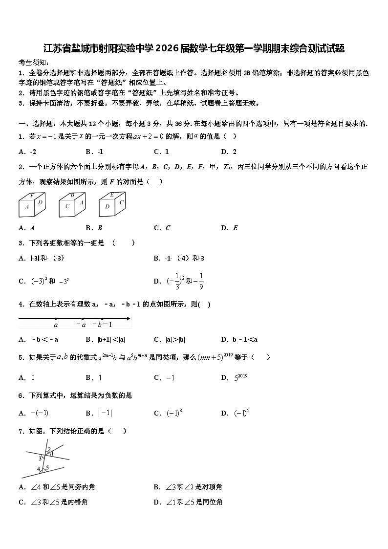 江苏省盐城市射阳实验中学2026届数学七年级第一学期期末综合测试试题含解析第1页
