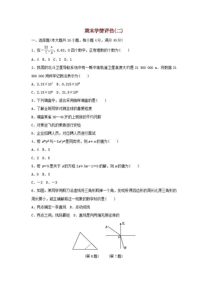 安徽省2025七年级数学上学期期末学情评估二试卷（附解析沪科版）第1页