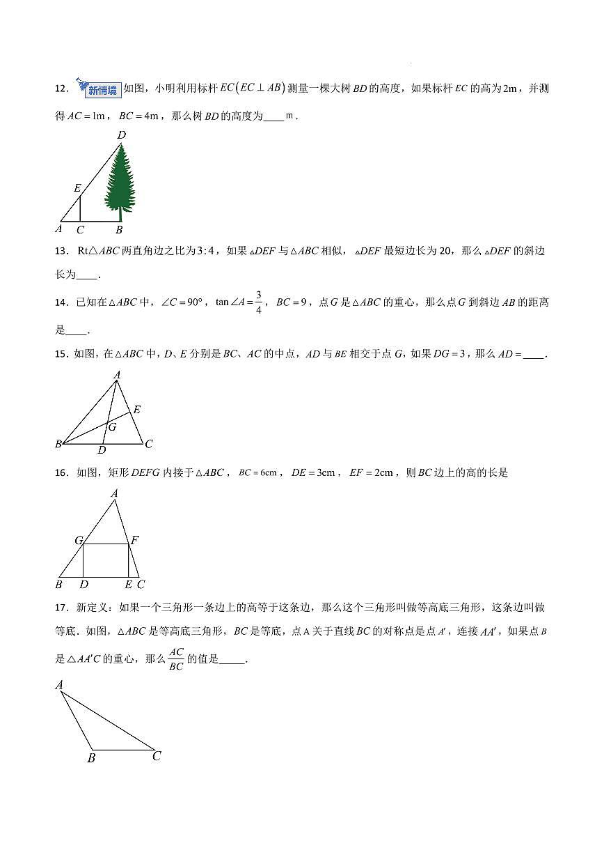 九年级数学上学期第一次月考卷（上海专用，沪教版九上相似三角形+求锐角三角比的值）（考试版A4）第3页