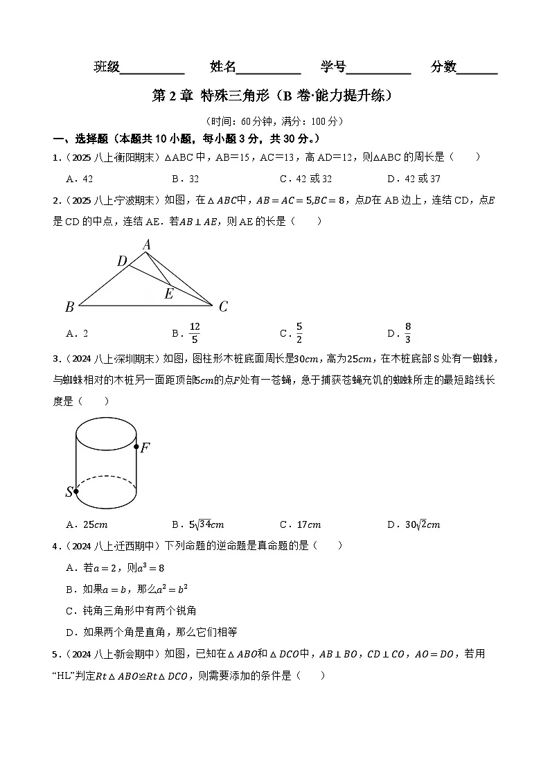 第2章 特殊三角形（B卷·能力提升练）（原卷版）-【单元测试】八年级数学上册分层训练AB卷（浙教版）第1页
