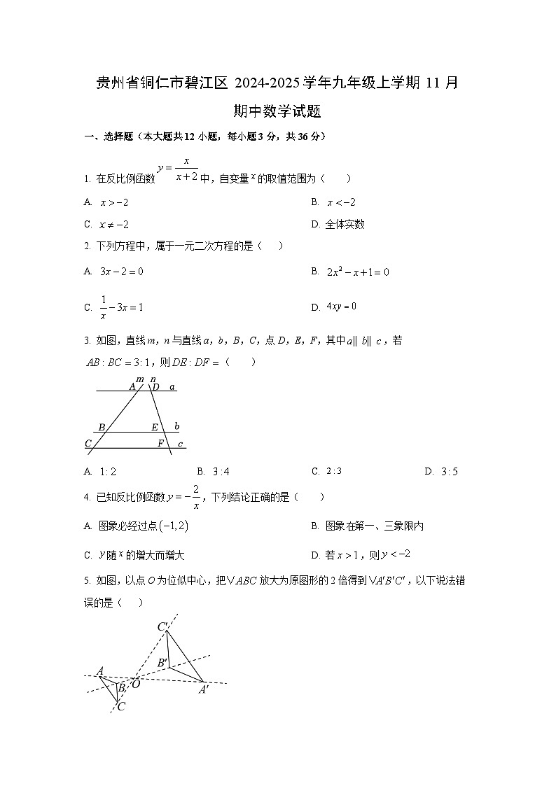 贵州省铜仁市碧江区2024-2025学年九年级上学期11月期中数学试卷（学生版）第1页