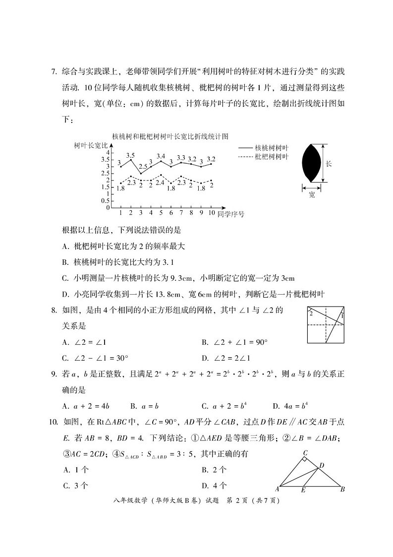 福建省漳州市2024—-2025学年八年级上学期期末教学质量检测数学试题（华东师大版B卷）第2页