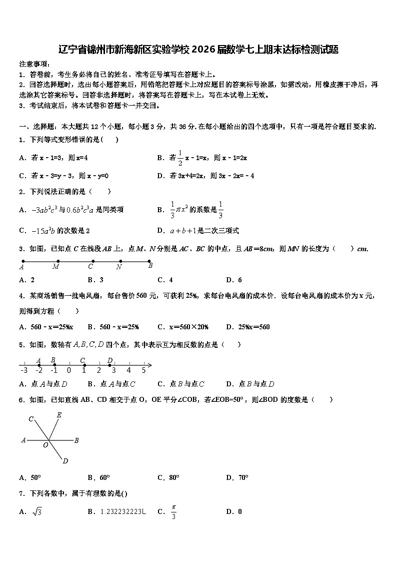辽宁省锦州市新海新区实验学校2026届数学七上期末达标检测试题含解析第1页