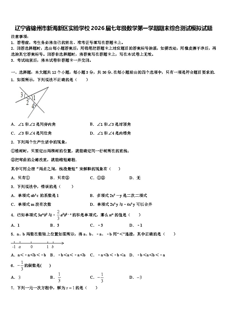 辽宁省锦州市新海新区实验学校2026届七年级数学第一学期期末综合测试模拟试题含解析第1页