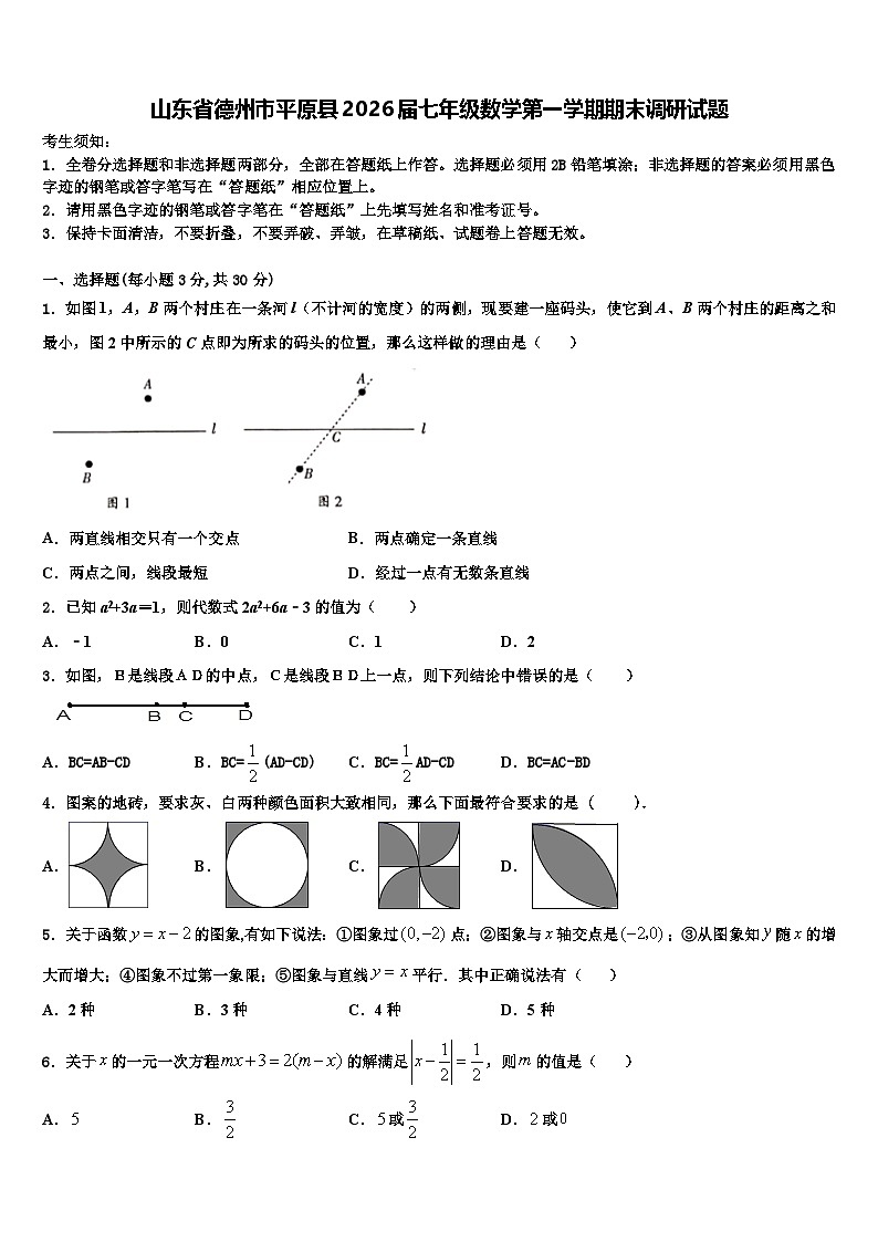 山东省德州市平原县2026届七年级数学第一学期期末调研试题含解析第1页