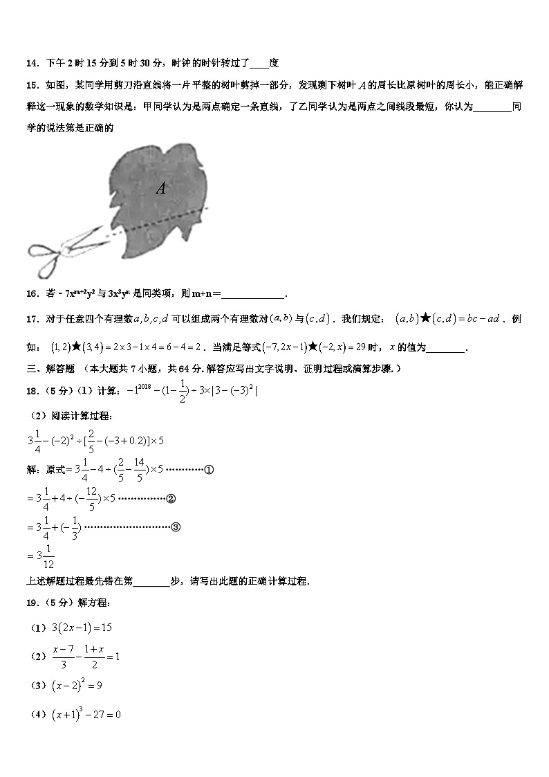 山东省济宁十五中学2026届七年级数学第一学期期末检测试题含解析第3页
