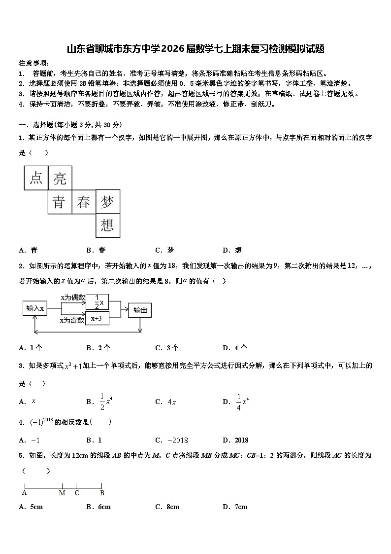 山东省聊城市东方中学2026届数学七上期末复习检测模拟试题含解析第1页