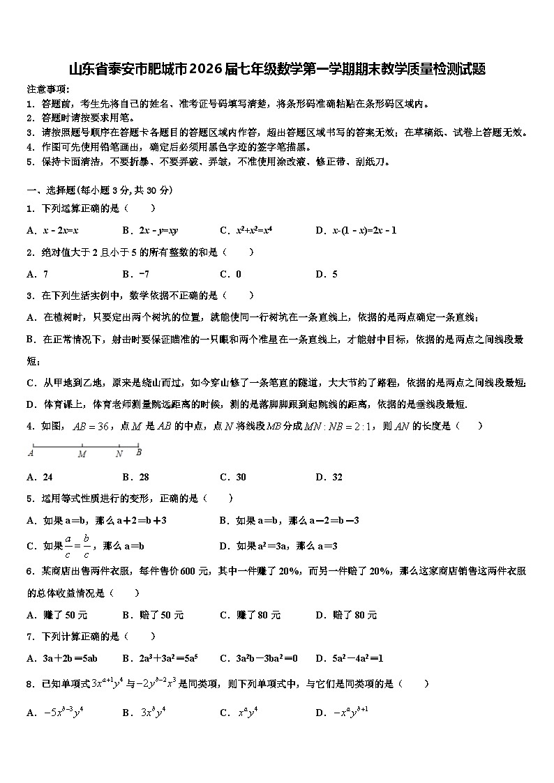 山东省泰安市肥城市2026届七年级数学第一学期期末教学质量检测试题含解析第1页