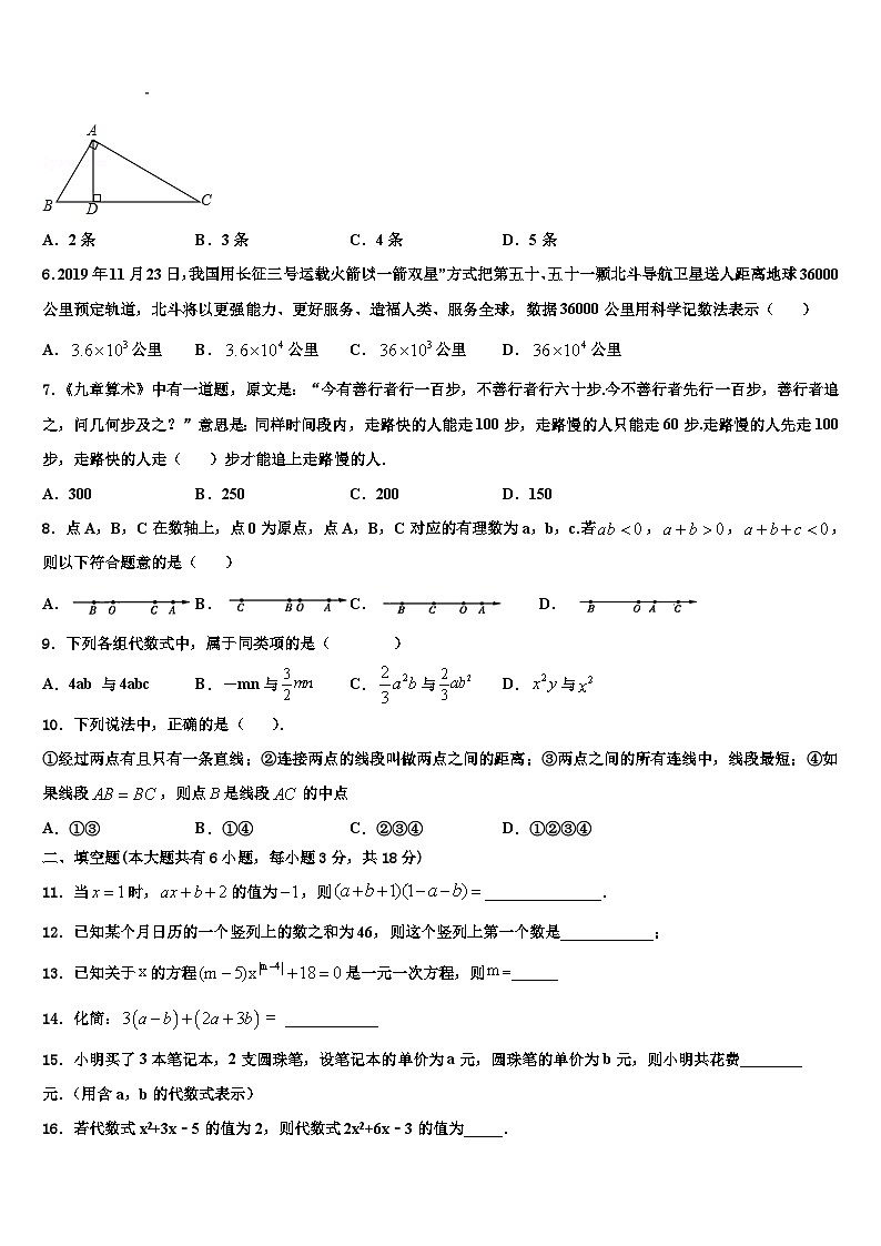 山东省枣庄市枣庄市第四十一中学2026届数学七上期末统考模拟试题含解析第2页