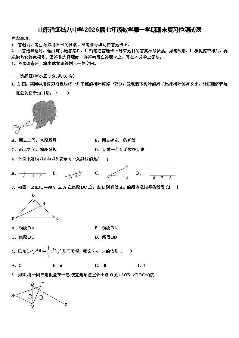 山东省邹城八中学2026届七年级数学第一学期期末复习检测试题含解析第1页