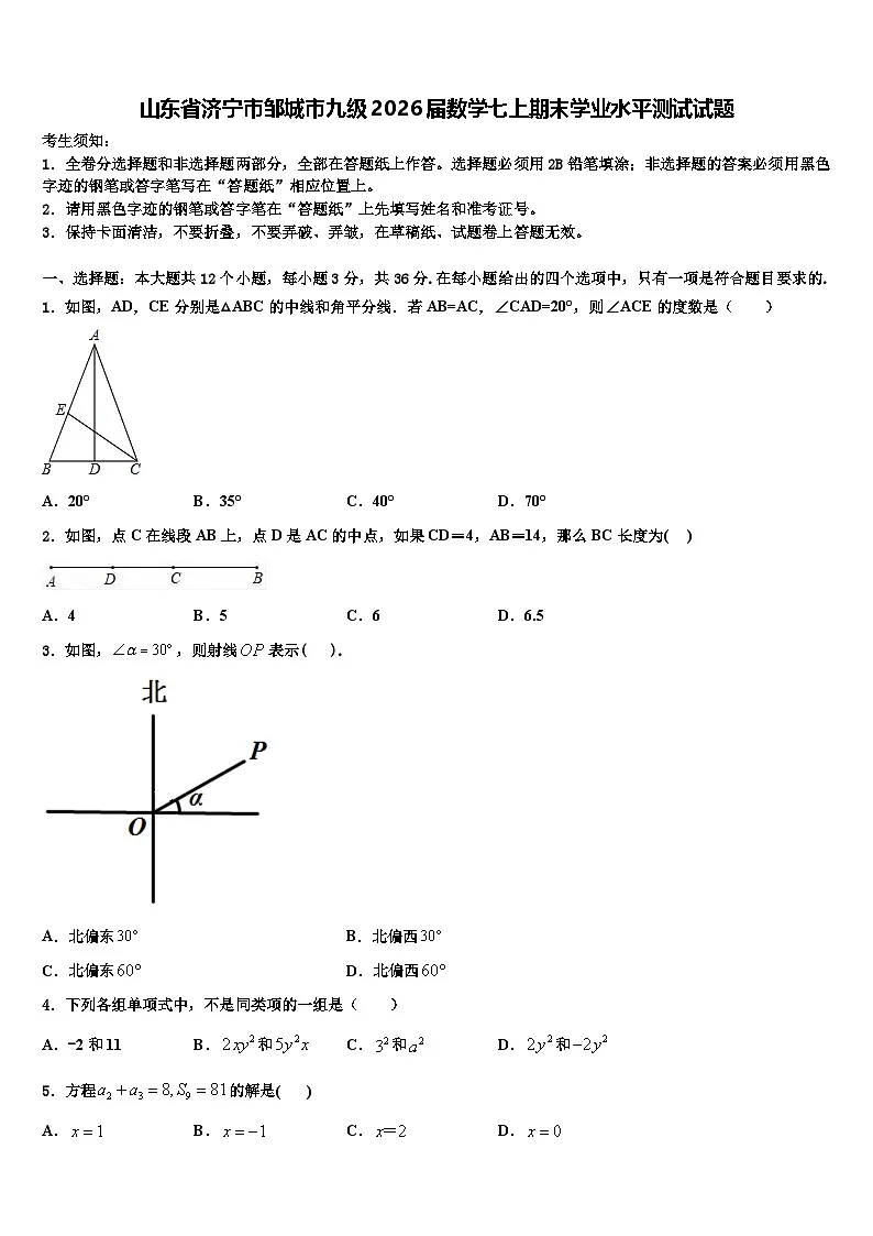 山东省济宁市邹城市九级2026届数学七上期末学业水平测试试题含解析第1页