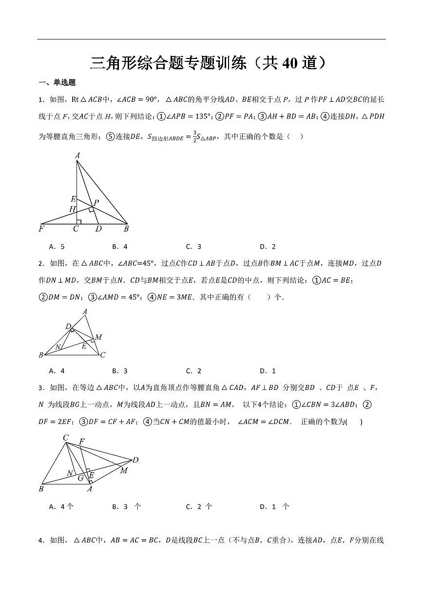 三角形综合题专题训练（共40道）（原卷版）第1页