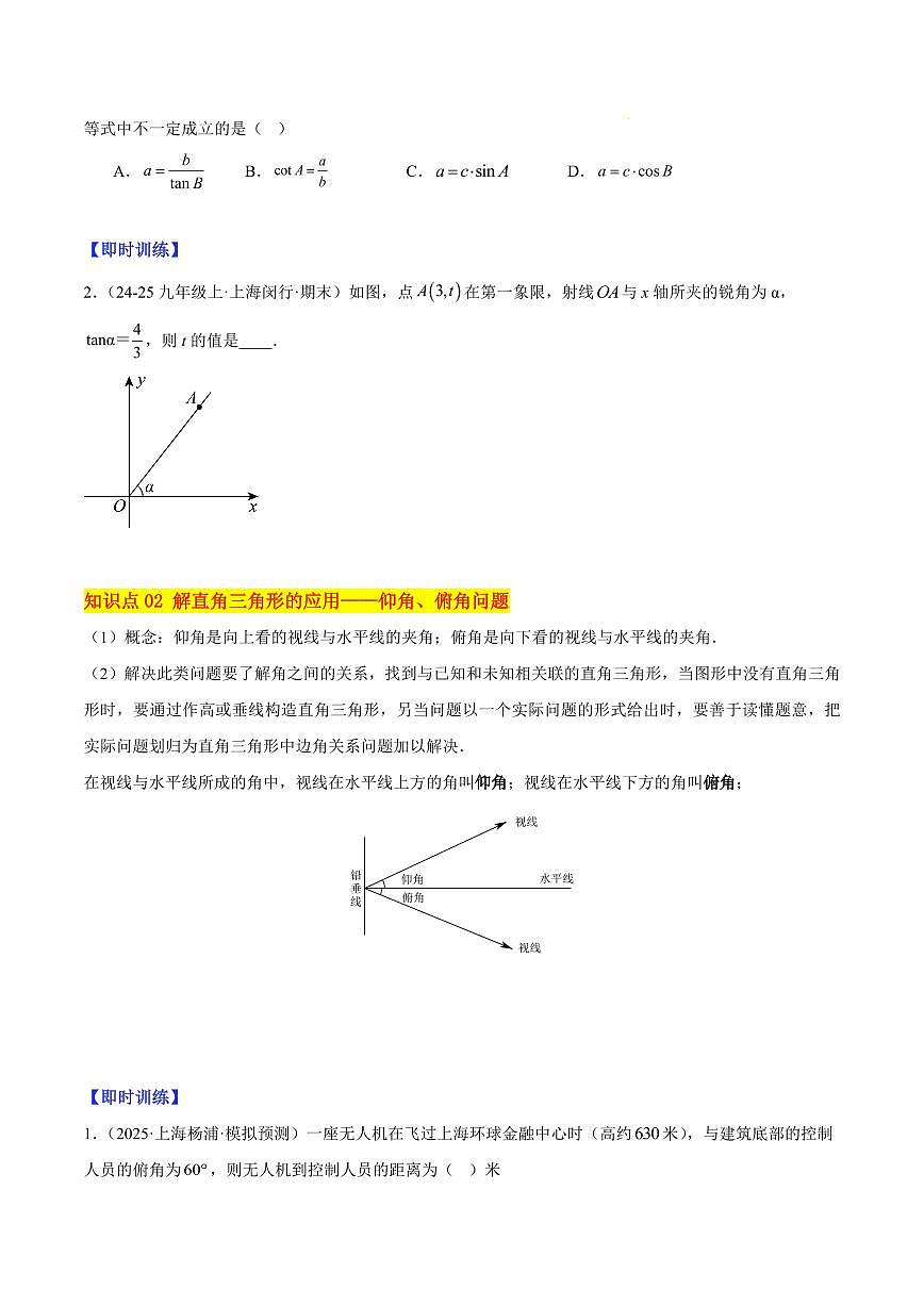 解直角三角形（5大知识点+10大典例+变式训练+过关检测）（原卷版）第2页