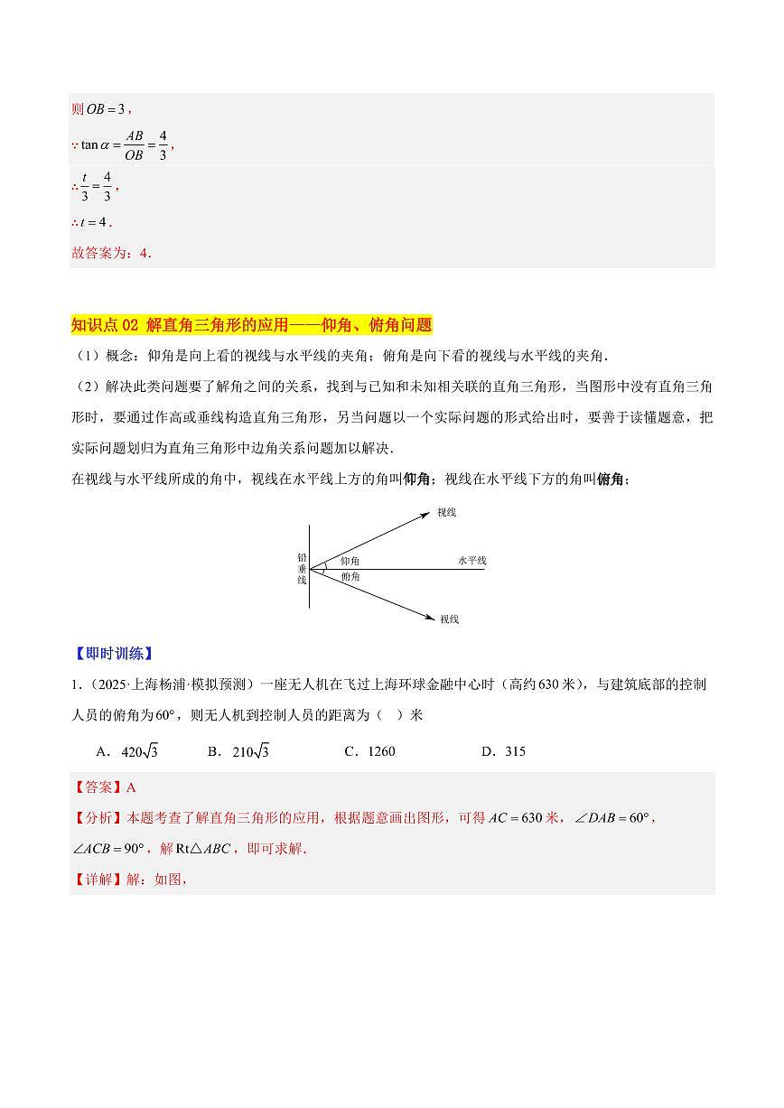 解直角三角形（5大知识点+10大典例+变式训练+过关检测）（解析版）第3页