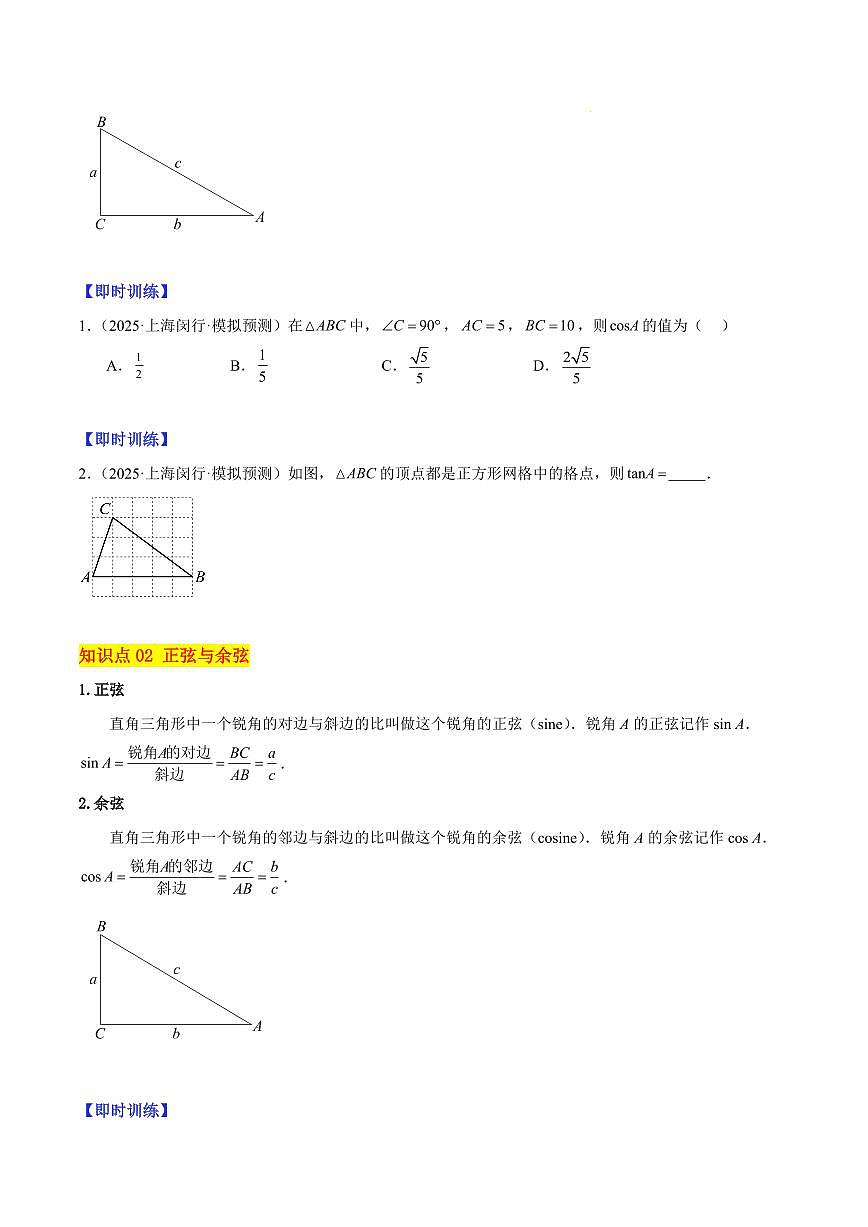 锐角的三角比（3大知识点+11大典例+变式训练+过关检测）（原卷版）第2页