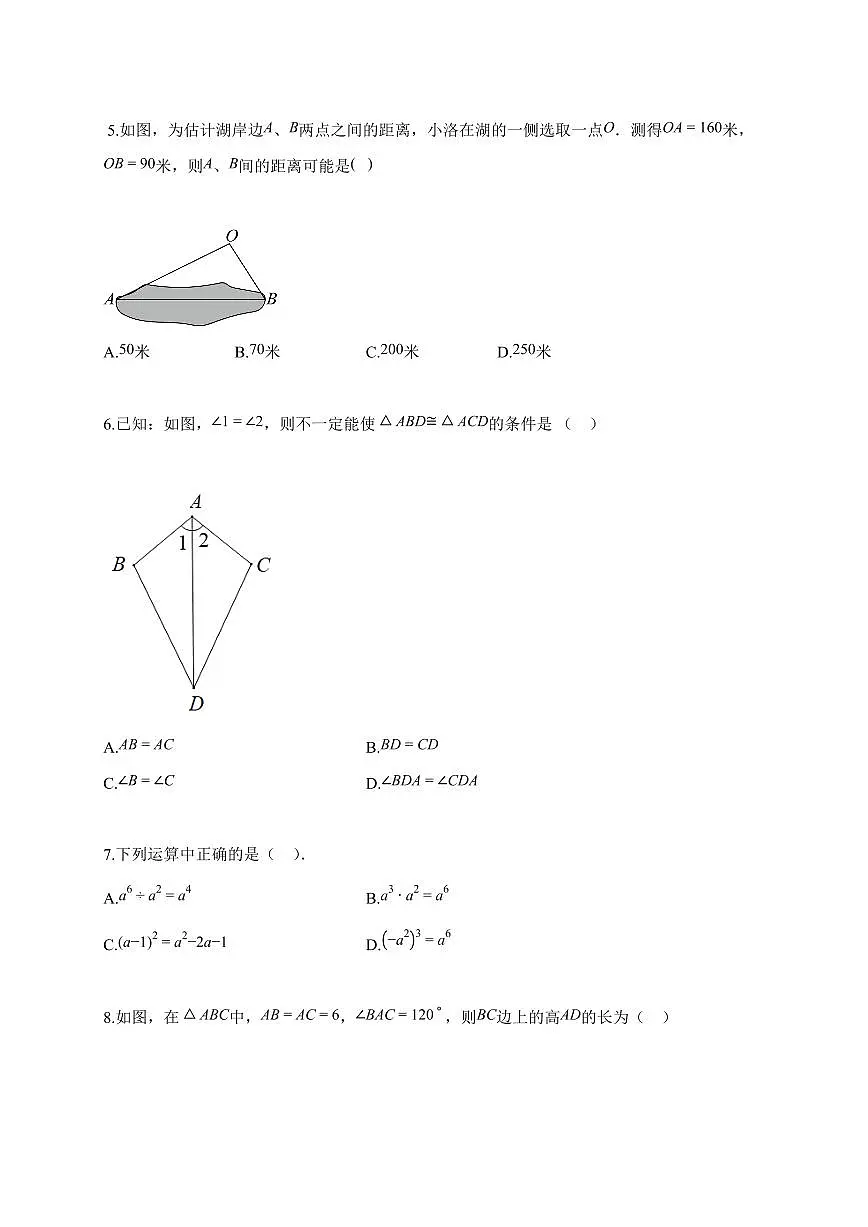 2025~2026学年广西河池市天峨县八年级上册期末检测数学试卷（含解析）第2页