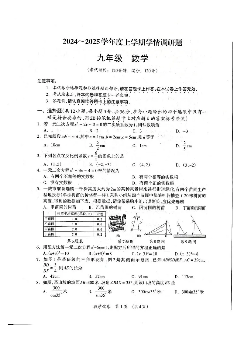 广西壮族自治区桂林市2024-2025学年上学期九年级上学期数学期末考试卷第1页