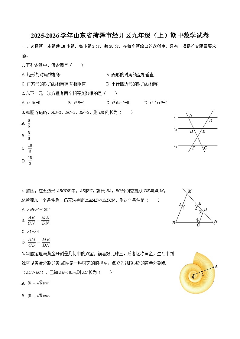 2025-2026学年山东省菏泽市经开区九年级（上）期中数学试卷-自定义类型第1页
