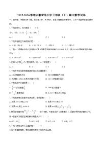 2025-2026学年安徽省池州市七年级（上）期中数学试卷-自定义类型