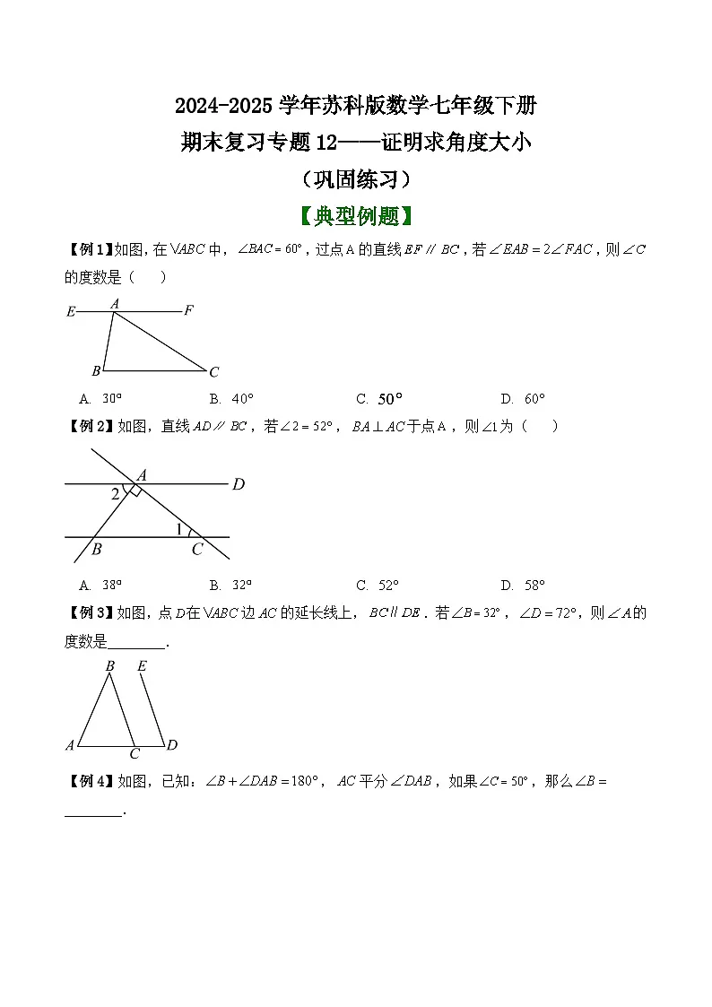 2024-2025学年苏科版数学七年级下册期末复习专题12——证明求角度大小 （巩固练习）　第1页