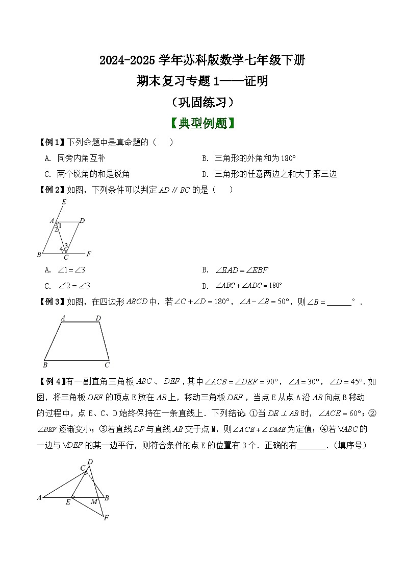 期末复习专题1——证明  （巩固练习）2024-2025学年苏科版数学七年级下册第1页