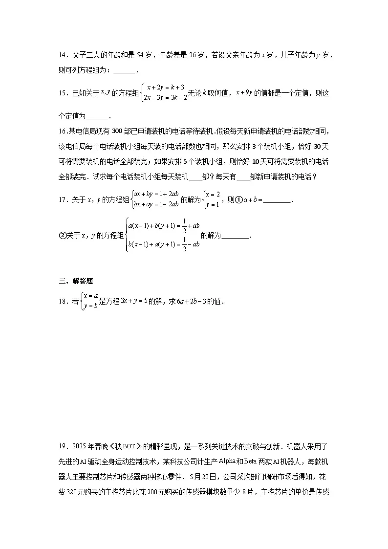 二元一次方程组练习 中考数学一轮复习（人教版）第3页