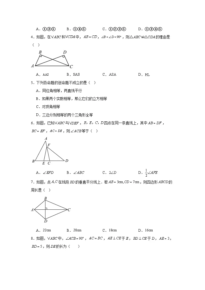第十二章全等三角形单元练习 华东师大版数学八年级上册期末复习第2页