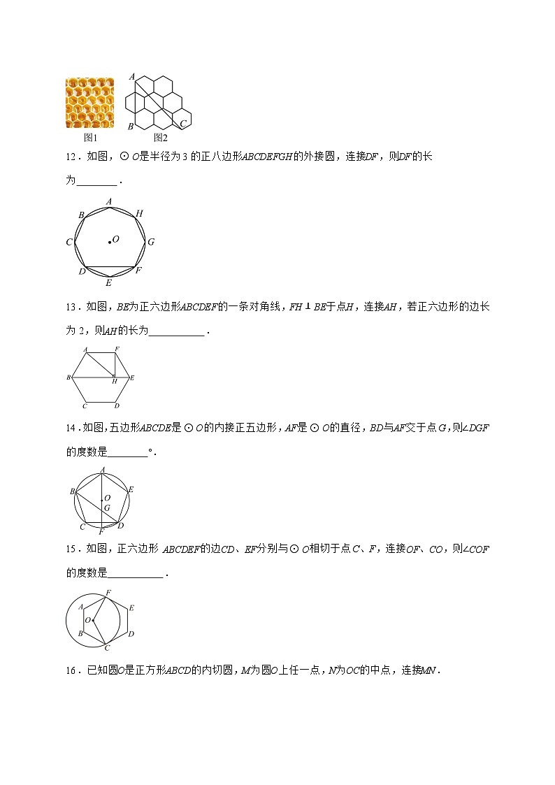 2025-2026学年《3.8圆内接正多边形》同步练习北师大版九年级数学下册【附答案】第3页