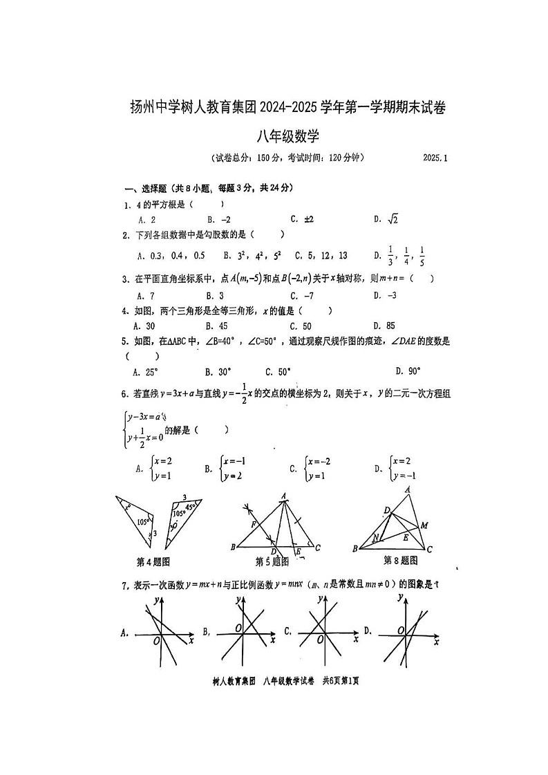江苏省扬州中学教育集团树人学校2024-2025学年上学期八年级数学期末考试卷第1页
