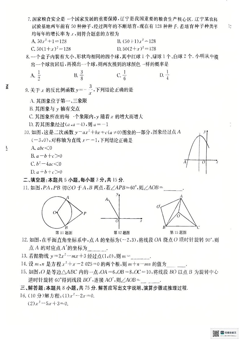 辽宁省盘锦市大洼区2024-2025学年九年级上学期1月期末考试数学试题第2页