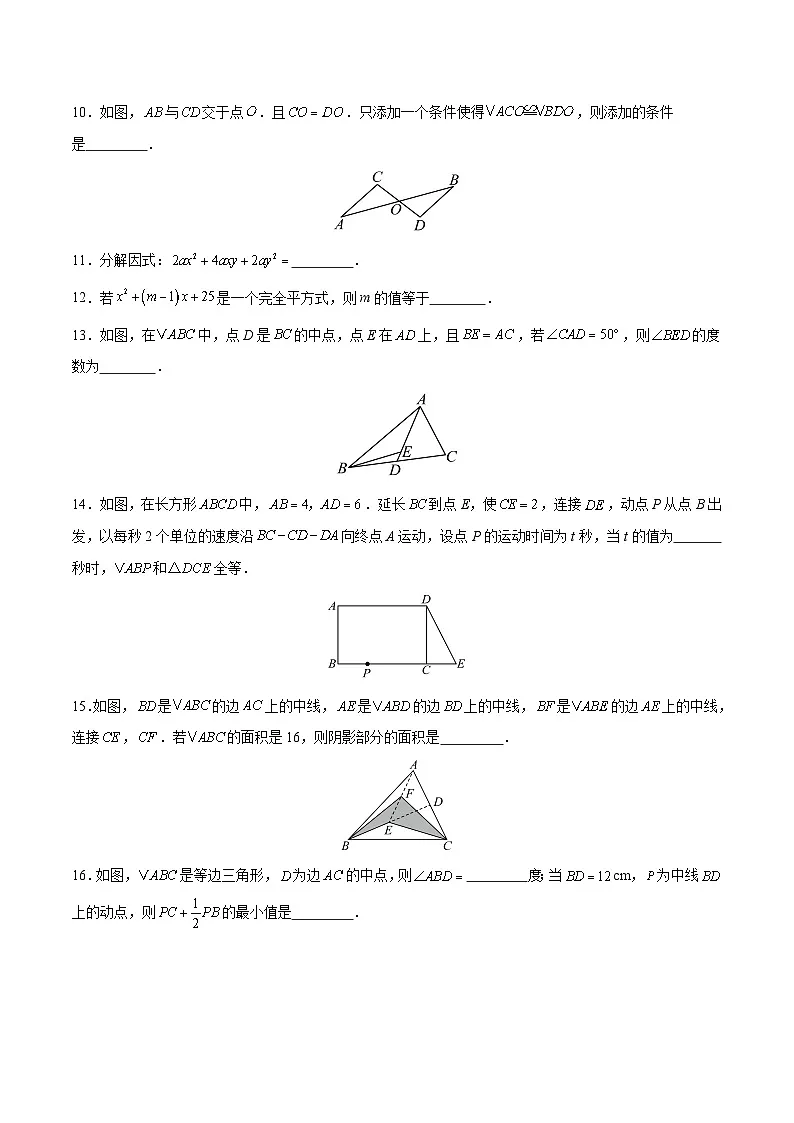 人教版2024初中数学八上 第2次月考试卷【考试版第13章-第17章】第3页