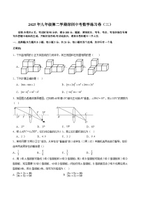 广东省深圳市2025届九年级下学期中考数学（三）试卷（含答案）