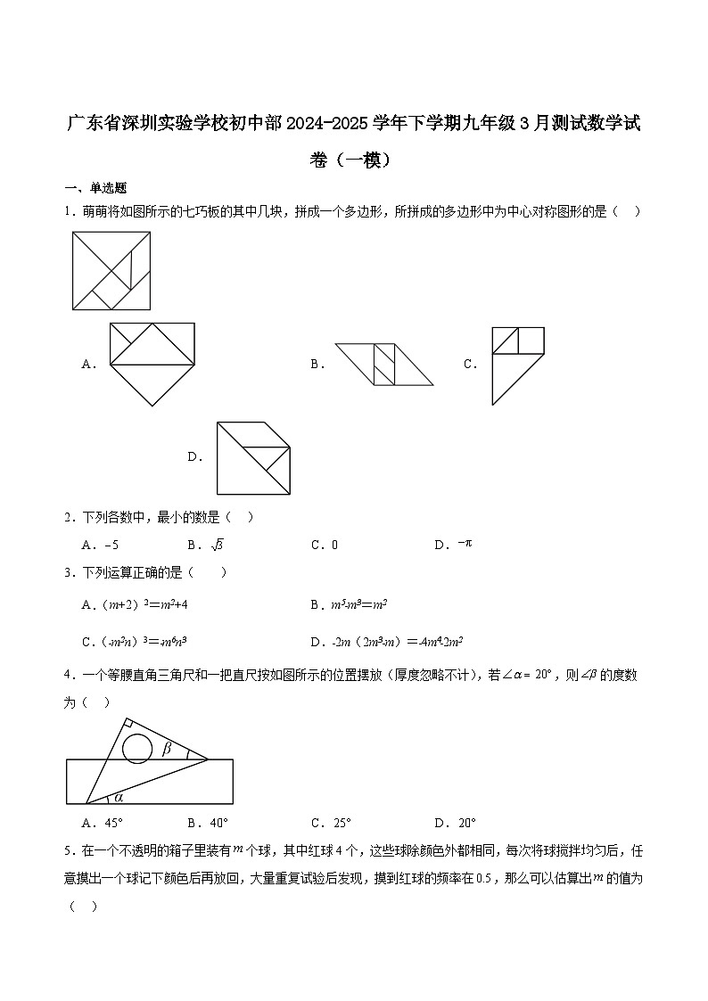 深圳实验学校2025届九年级下学期3月测试（一模）数学试卷（含解析）第1页