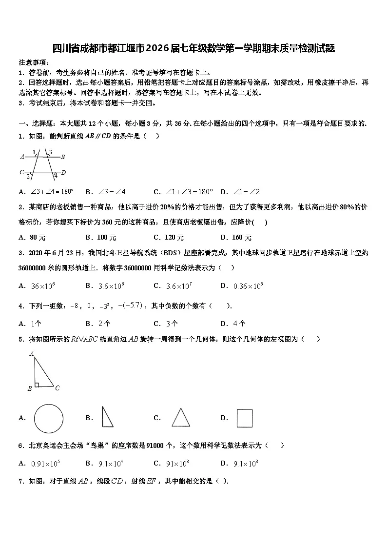 四川省成都市都江堰市2026届七年级数学第一学期期末质量检测试题含解析第1页