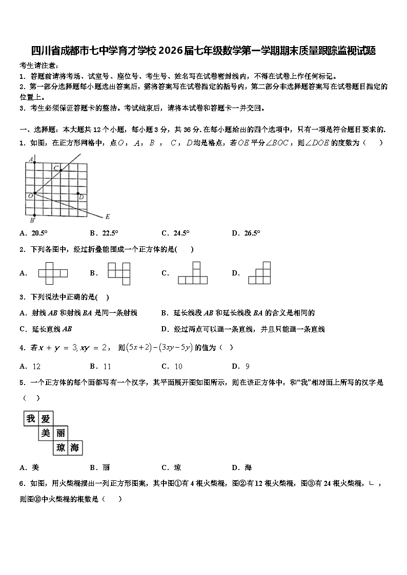 四川省成都市七中学育才学校2026届七年级数学第一学期期末质量跟踪监视试题含解析第1页