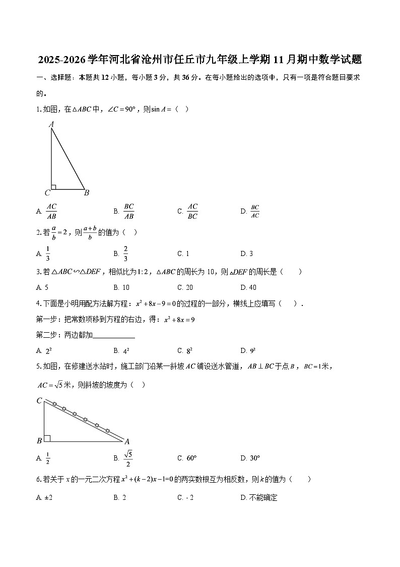2025-2026学年河北省沧州市任丘市九年级上学期11月期中数学试题-自定义类型第1页