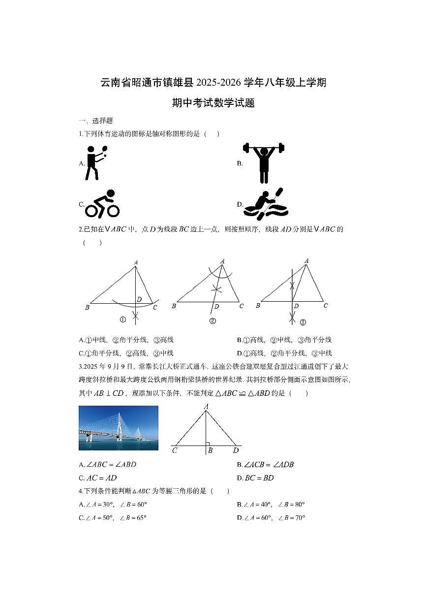 云南省昭通市镇雄县2025-2026学年八年级上学期期中考试数学试卷（学生版）第1页
