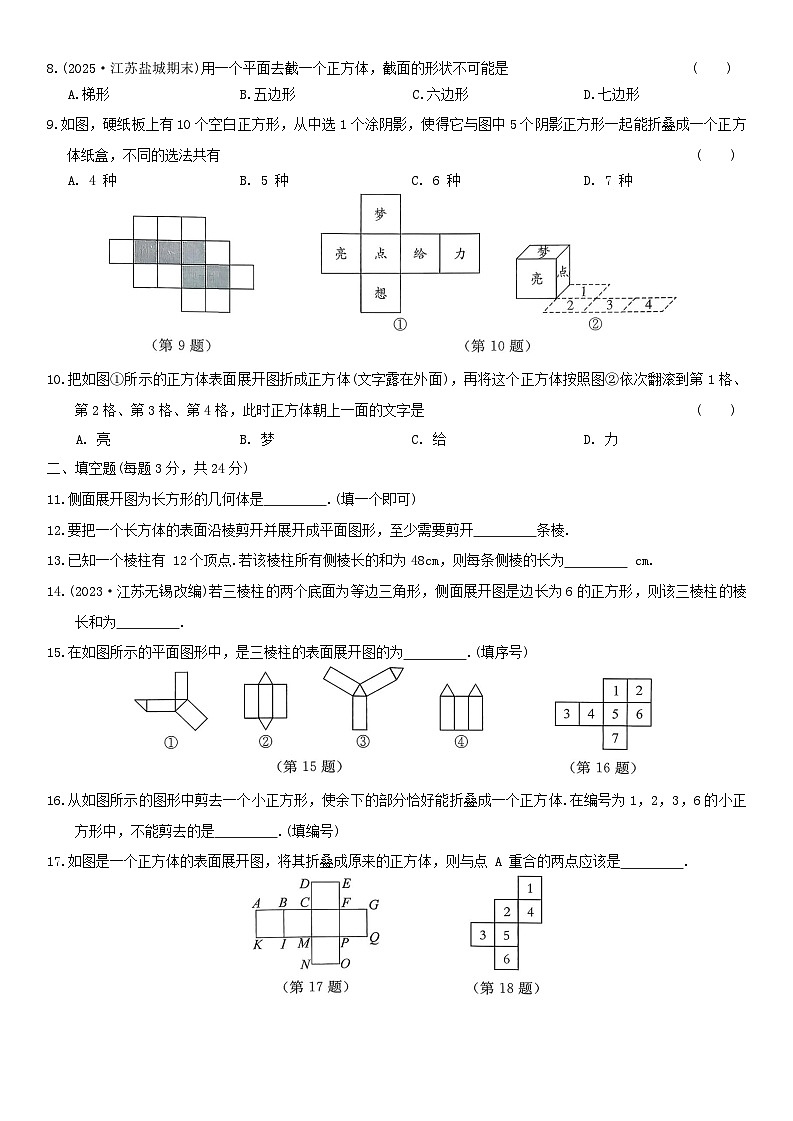 第5章走进几何世界单综合素养测评卷2025-2026学年苏科版七年级数学上册（含答案）第2页