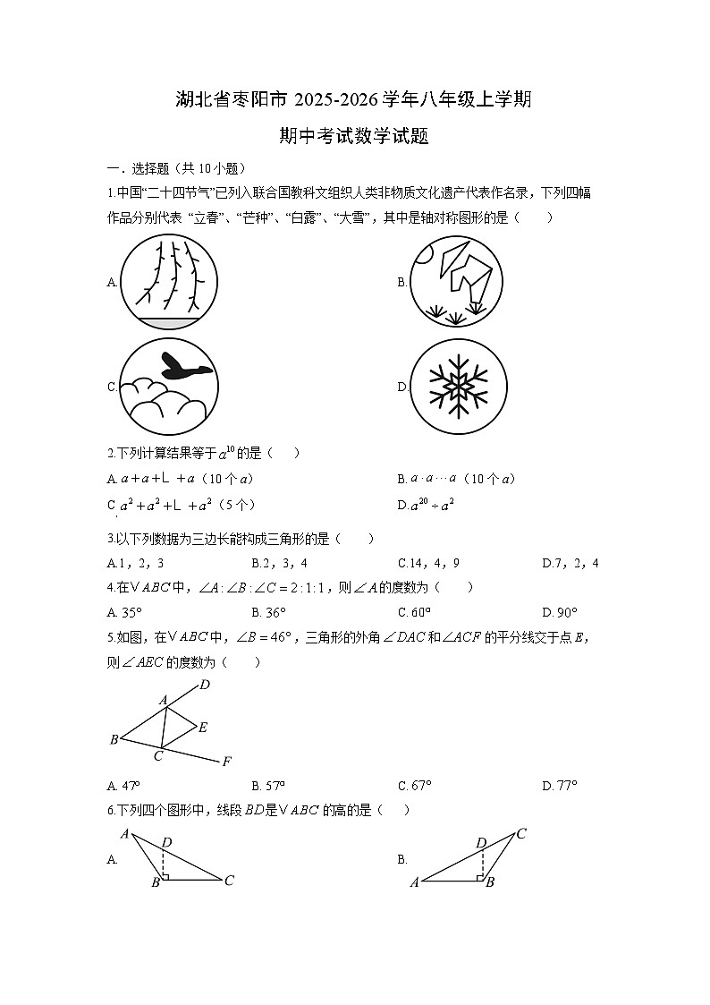湖北省枣阳市2025-2026学年八年级上学期期中考试数学试卷（学生版）第1页